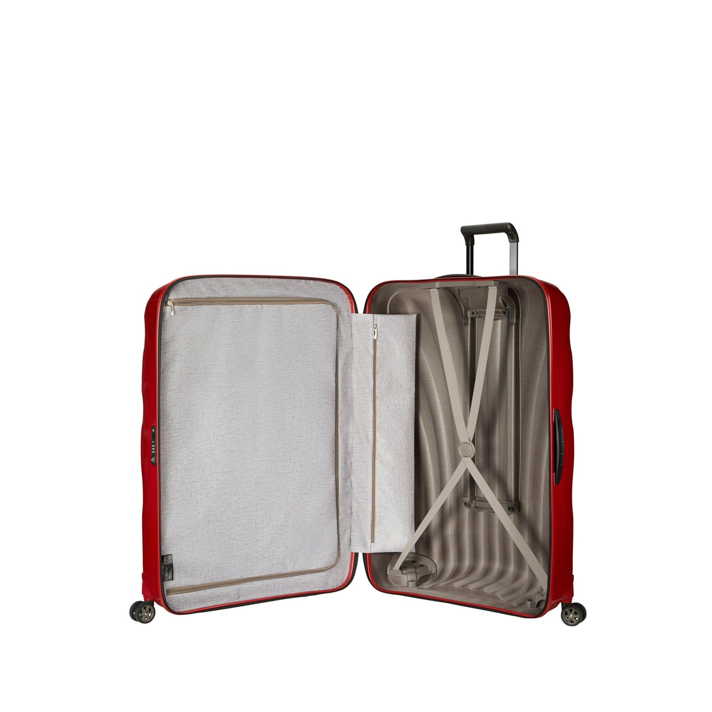 C-Lite Large Spinner